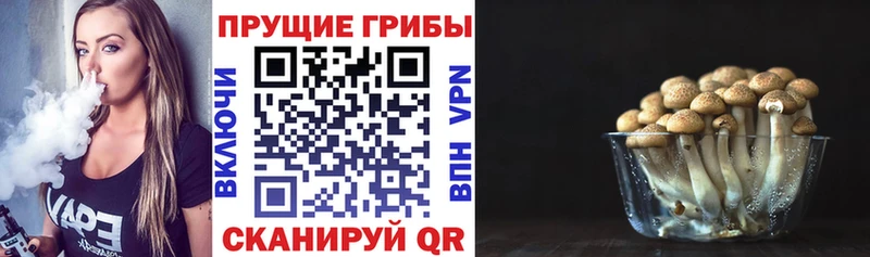 Псилоцибиновые грибы Psilocybe  купить закладку  Берёзовка 